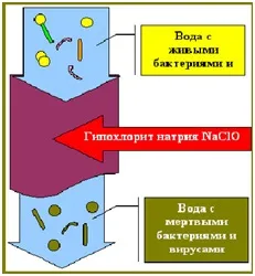 Хлорка для басейну повинна бути якісною (неприємний запах хлорки) Хлорка для басейну повинна бути якісною