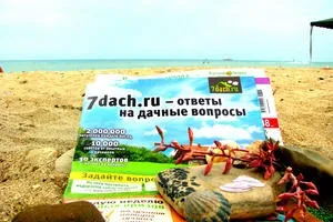 Хочу від троянди всього і відразу! Вісник квітникаря (всього) Хочу від троянди всього і відразу! вісник квітникаря