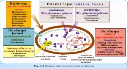 Хіміотерапія і хіміотерапевтичні препарати (препарати) Хіміотерапія і хіміотерапевтичні препарати