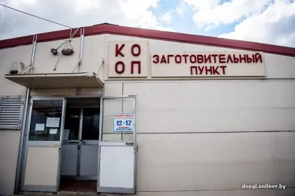 Ягідний бізнес як заробляють на журавлині (журавлині) Ягідний бізнес як заробляють на журавлині