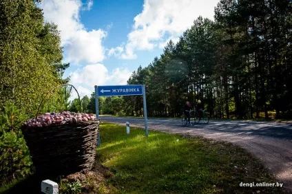 Ягідний бізнес як заробляють на журавлині (журавлині) Ягідний бізнес як заробляють на журавлині