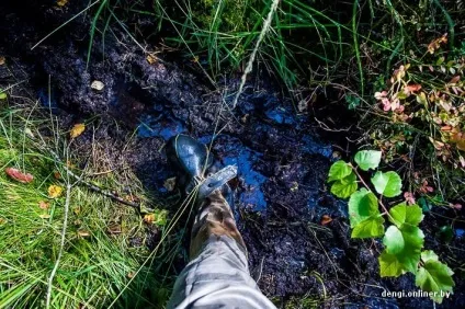 Ягідний бізнес як заробляють на журавлині (журавлині) Ягідний бізнес як заробляють на журавлині