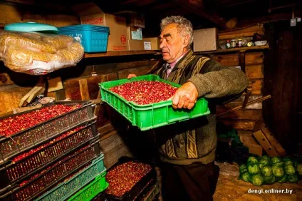 Ягідний бізнес як заробляють на журавлині (журавлині) Ягідний бізнес як заробляють на журавлині