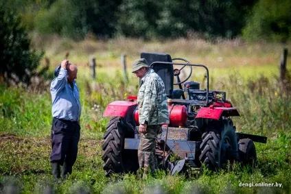 Ягідний бізнес як заробляють на журавлині (журавлині) Ягідний бізнес як заробляють на журавлині