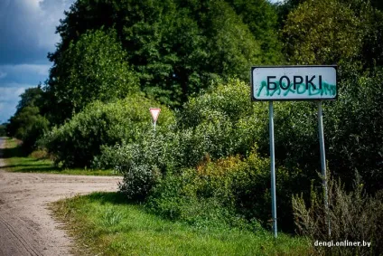 Ягідний бізнес як заробляють на журавлині (журавлині) Ягідний бізнес як заробляють на журавлині