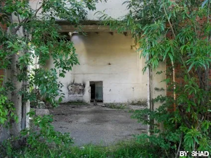 Занедбані будинки біля крилосовского кар'єра (занедбані) Занедбані будинки біля крилосовского кар'єра