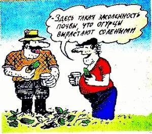 Засолення грунтів, овочі на присадибній ділянці (меліорація засолених грунтів) Засолення грунтів, овочі на присадибній ділянці