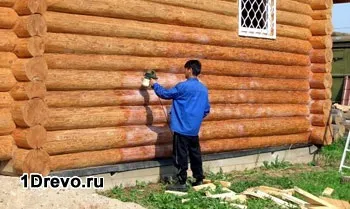 Захист зрубу від гниття, вогню, шкідників склади і особливості застосування (шкідників) Захист зрубу від гниття, вогню, шкідників склади і особливості застосування