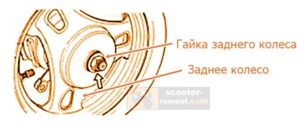 Заміна колодок барабанного гальма на скутері - скутери обслуговування і ремонт (заміна) Заміна колодок барабанного гальма на скутері - скутери обслуговування і ремонт