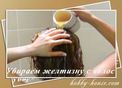 Зелений чай для волосся і шкіри голови, яка користь від зеленого чаю (для росту волосся) Зелений чай для волосся і шкіри голови, яка користь від зеленого чаю