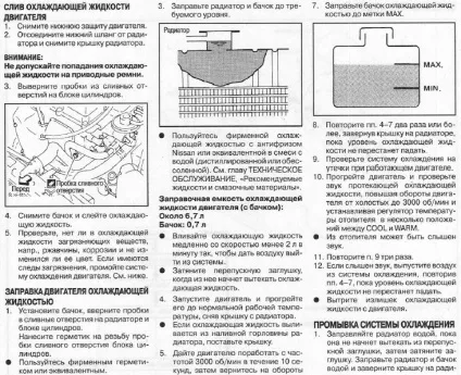 Заміна антифризу - 4 - двигун - primera club (антифризу) Заміна антифризу - 4 - двигун - primera club