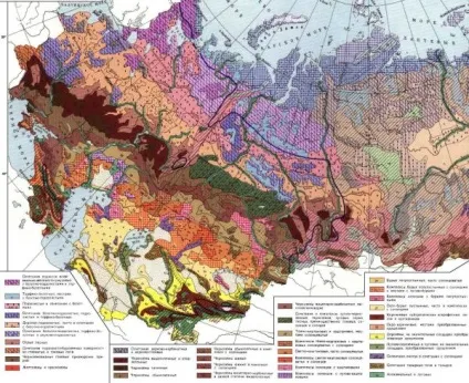 Засолення грунтів, овочі на присадибній ділянці (як позбутися від солончака) Засолення грунтів, овочі на присадибній ділянці