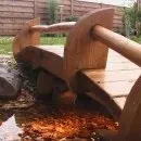 Жовті квіти в саду варіанти оформлення, сорти (саду) Жовті квіти в саду варіанти оформлення, сорти