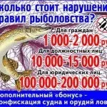 Смажена ікра щуки рецепт приготування