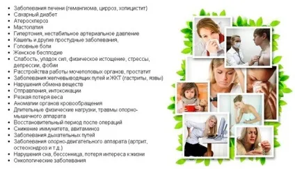 Рідкий стілець, але не понос у дорослого в чому різниця - здоров'я інфо (пронос) Рідкий стілець, але не понос у дорослого в чому різниця - здоров'я інфо