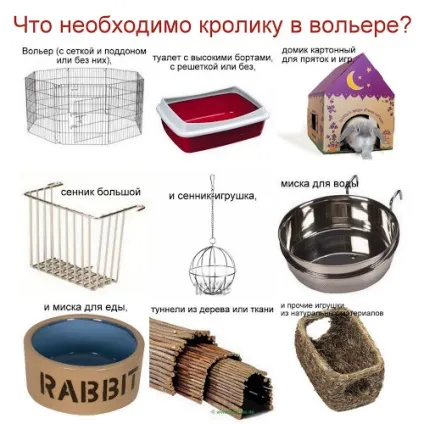 Житло, кролик будинку