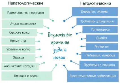 Сверблячка в ногах причини і способи усунення (ногах) Сверблячка в ногах причини і способи усунення