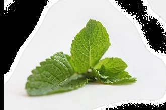 Richman organic tea - що таке органічний чай (organic) Richman organic tea - що таке органічний чай