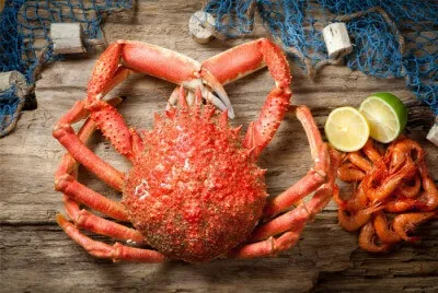 Риба - один із самих здорових, корисних і смачних продуктів харчування! Як схуднути легко і назавжди (корисних) Риба - один із самих здорових, корисних і смачних продуктів харчування! Як схуднути легко і назавжди