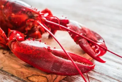 Риба - один із самих здорових, корисних і смачних продуктів харчування! Як схуднути легко і назавжди (смачних) Риба - один із самих здорових, корисних і смачних продуктів харчування! Як схуднути легко і назавжди