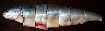 Риба голець користь і шкода, де водиться, смачні рецепти (голець) Риба голець користь і шкода, де водиться, смачні рецепти