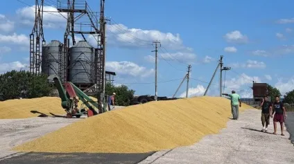 Росія продасть запаси інтервенційного зерна (прийматиметься урахуванням темпів) Росія продасть запаси інтервенційного зерна