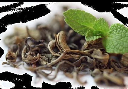 Richman organic tea - що таке органічний чай (richman) Richman organic tea - що таке органічний чай