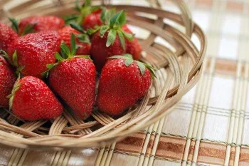 10 Прибуткових бізнес ідей на літо (прибуткових) 10 Прибуткових бізнес ідей на літо