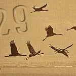 29 щемливе абзаців про необхідність інвестицій (потреба в інвестиціях) 29 щемливе абзаців про необхідність інвестицій