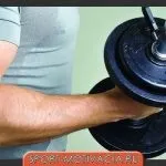 8 Способів подолання застою в м'язах (волокна які відповідають) 8 Способів подолання застою в м'язах