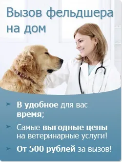 Алергія у щурів, симптоми, лікування опухання лап у щурів (щурів) Алергія у щурів, симптоми, лікування опухання лап у щурів