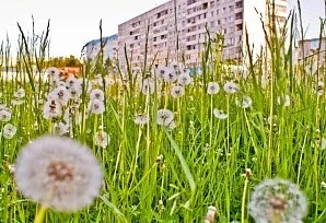 Афіша з 20 червня