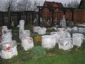 Агроволокно, овочі на присадибній ділянці (ділянці) Агроволокно, овочі на присадибній ділянці