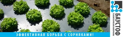 Агроплёнка - купити в москве зі складу! Вигідні ціни! (Агроплёнка) Агроплёнка - купити в москве зі складу! Вигідні ціни!