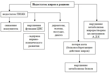 Аліментарно-залежні захворювання (захворювання) Аліментарно-залежні захворювання