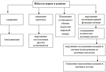 Аліментарно-залежні захворювання (захворювання) Аліментарно-залежні захворювання