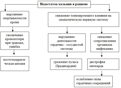 Аліментарно-залежні захворювання (захворювання) Аліментарно-залежні захворювання