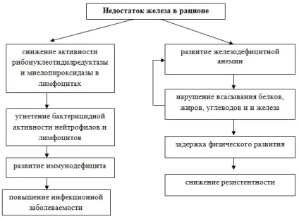 Аліментарно-залежні захворювання (захворювання) Аліментарно-залежні захворювання