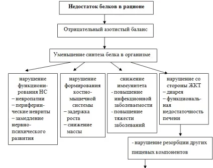Аліментарно-залежні захворювання (захворювання) Аліментарно-залежні захворювання