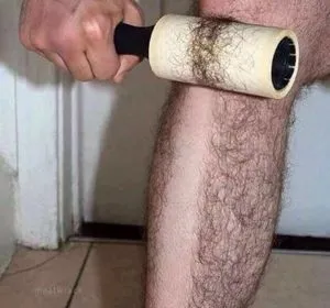 Анекдоти про красу