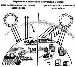 Антропогенні зміни навколишнього середовища (руйнування озонового шару) Антропогенні зміни навколишнього середовища