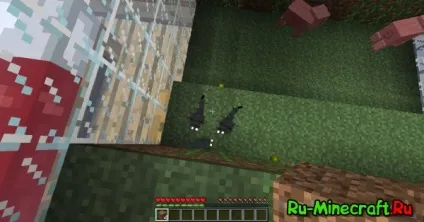Ant farm survival - неймовірно крута карта на проходження (показати) Ant farm survival - неймовірно крута карта на проходження