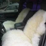 Автомобільні чохли