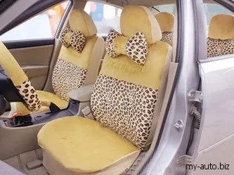 Автомобільні чохли