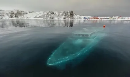 Безмежне море »