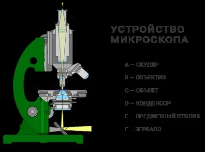 Бінокулярний мікроскоп вУкаіни - як правильно вибрати і вигідно купити