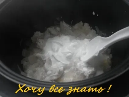 Бефстроганов з курячим м'ясом в мультиварці (мультиварка) Бефстроганов з курячим м'ясом в мультиварці