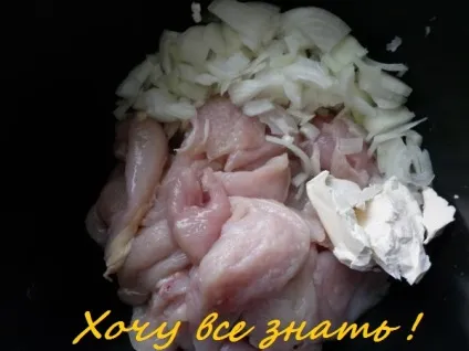 Бефстроганов з курячим м'ясом в мультиварці (страви з птиці) Бефстроганов з курячим м'ясом в мультиварці