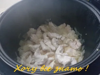 Бефстроганов з курячим м'ясом в мультиварці (бефстроганов) Бефстроганов з курячим м'ясом в мультиварці