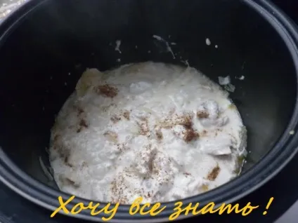 Бефстроганов з курячим м'ясом в мультиварці (страви з птиці) Бефстроганов з курячим м'ясом в мультиварці